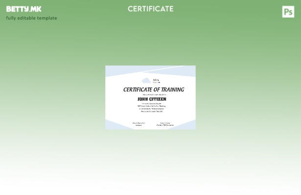 Шаблон за сертификат за обука за безбедност во САД во модерен стил